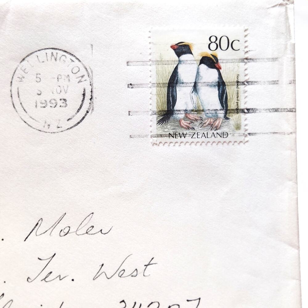 New Zealand 1993 80c Yellow-Eyed Penguin Stamp on Cover Wellington Postmark